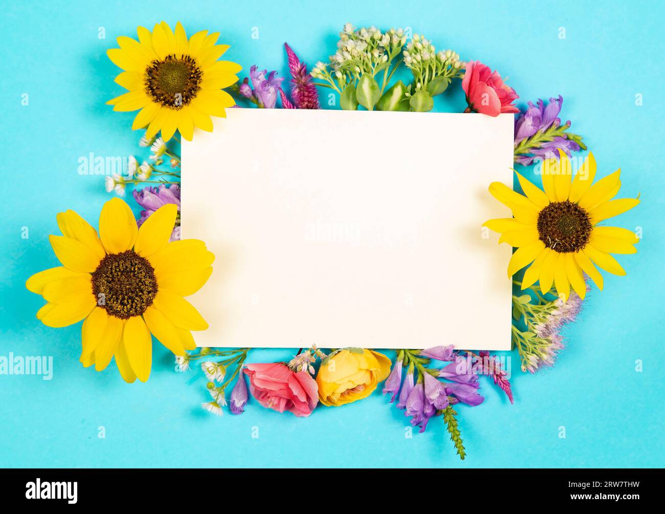 Blumenkomposition mit Kopierraum Stockfoto