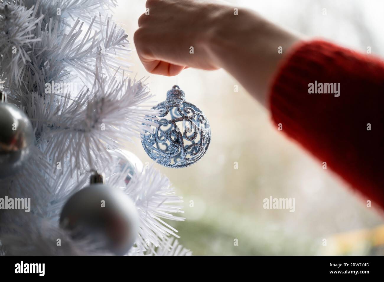 Nahaufnahme einer weiblichen Hand in einem roten Pullover, der eine glänzende blaue weihnachtskugel auf einem weißen weihnachtsbaum hängt. Stockfoto