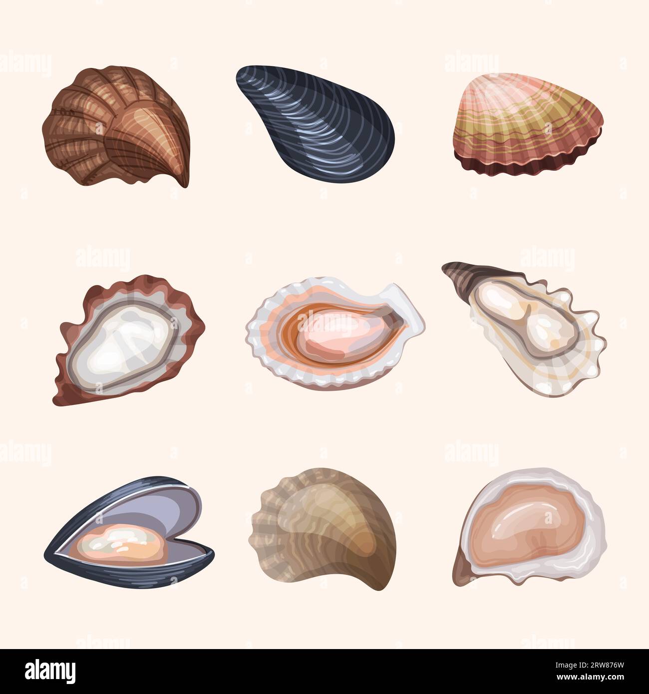 Frische Austern. Köstliche exotische Meeresprodukte hüllen aktuelle Vektor-Austern-Lebensmitteldarstellungen Stock Vektor