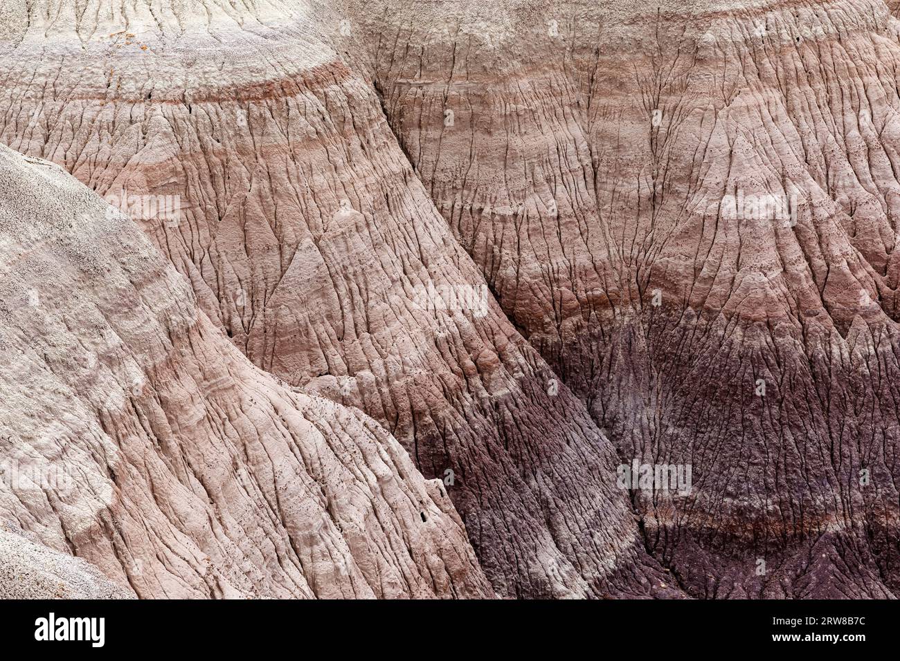 Nahaufnahme von Blue Mesa, Petrified Forest National Park, Arizona, USA Stockfoto