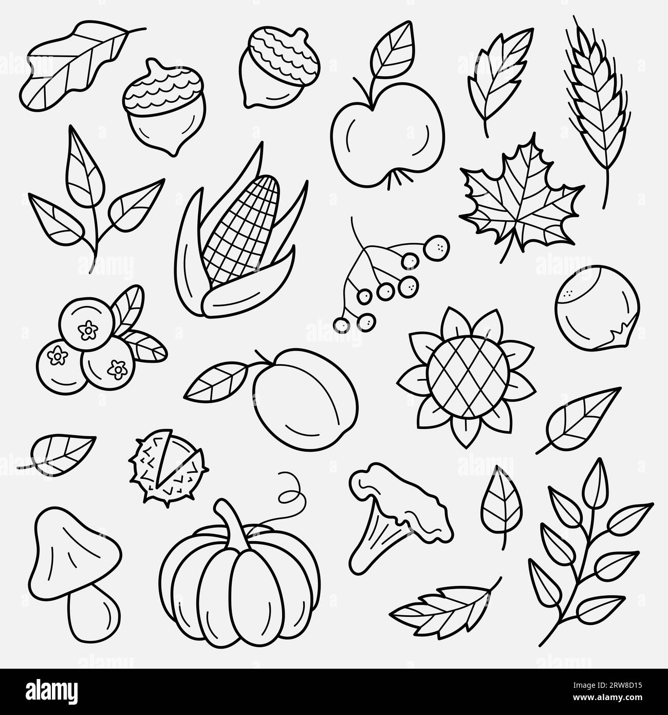 Symbole für die Herbsternte. Set aus handgezeichneten Herbstelementen. Blätter, Beeren, Obst, Gemüse, Pilze, Eicheln. Vektorillustration im Doodle-Stil Stock Vektor