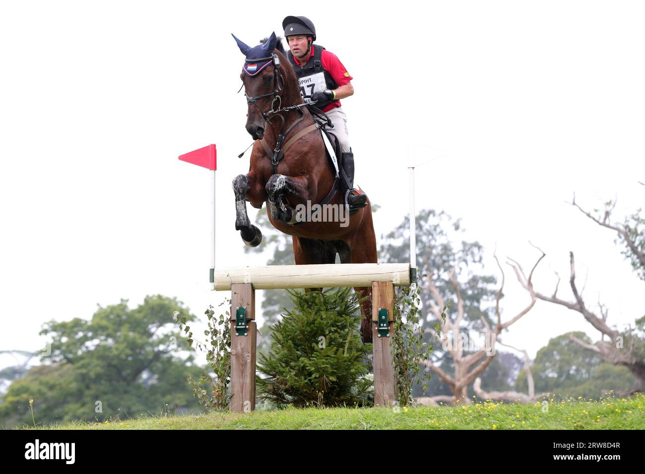 Andrew Heffernan reitet Hasrthill Phantom im CCI-L 4* während der internationalen Pferdeprüfungen im Blenheim Palace, Woodstock, Oxfordshire am Samstag, dem 16. September 2023. (Foto: Jon Bromley | MI News) Credit: MI News & Sport /Alamy Live News Stockfoto