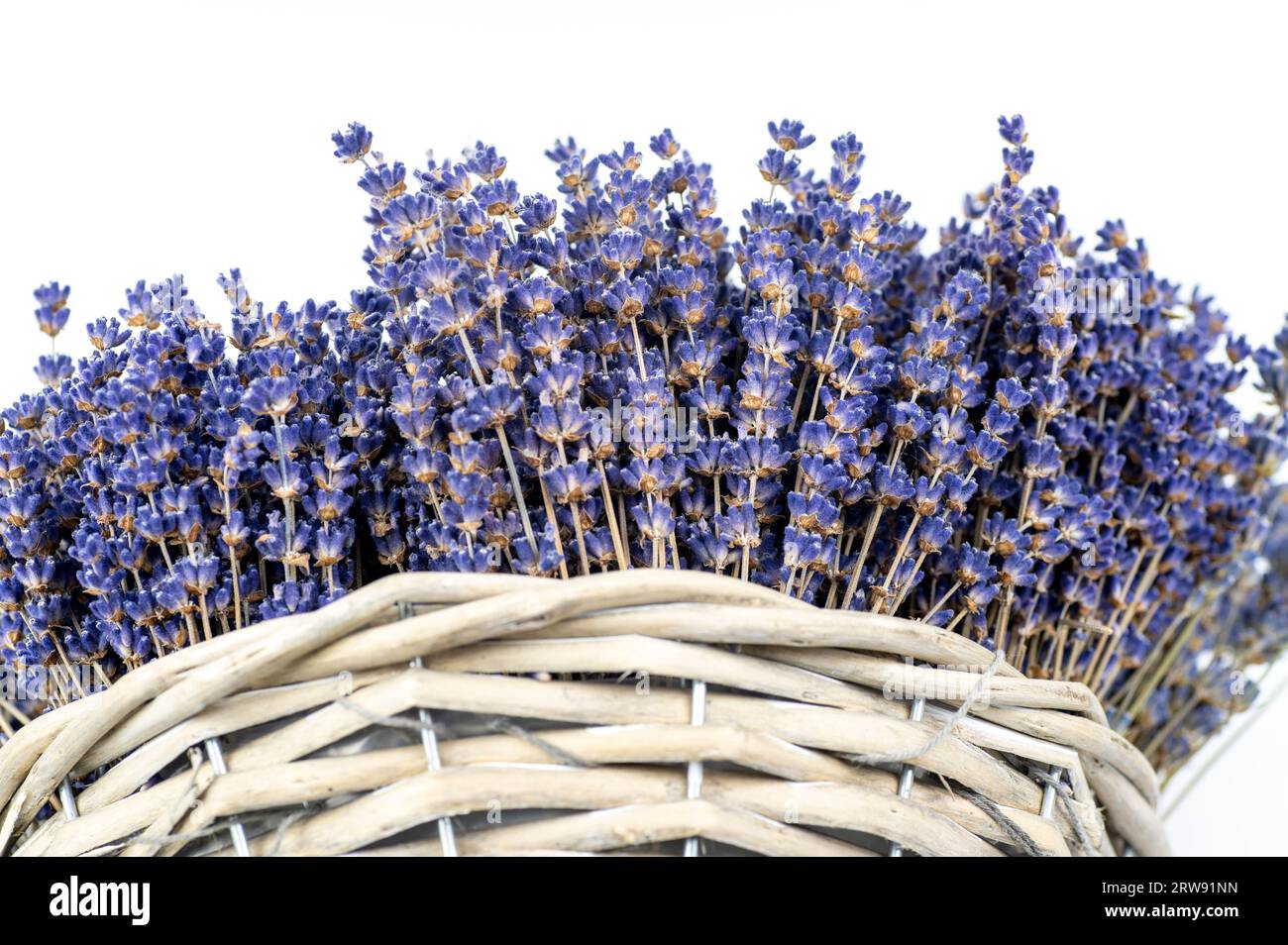 Bouquet von getrockneten Lavendel (Lavandula) Blüten isoliert auf weißem Hintergrund. Stockfoto