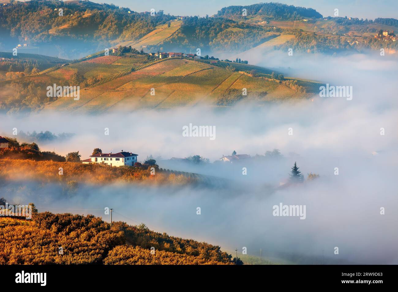 Blick vom Morgennebel über die Hügel mit herbstlichen Weinbergen im Piemont, Italien. Stockfoto