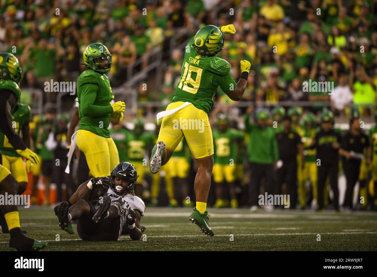 Der Oregon Ducks Linebacker Mase Funa (18) feiert nach einem Stopp im dritten Quartal eines NCAA College-Fußballspiels gegen Hawaii Rainbow Warriors i Stockfoto