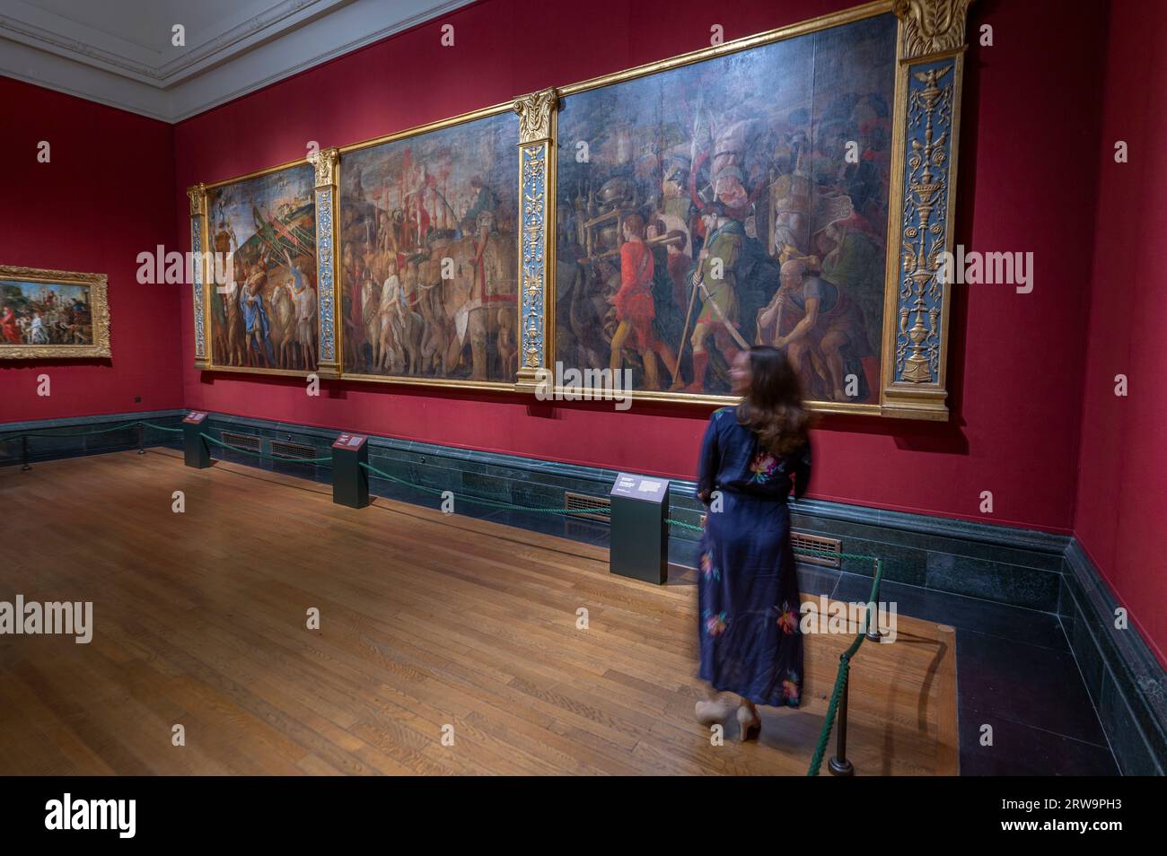The National Gallery, London, Großbritannien. September 2023. Die National Gallery zeigt sechs von Andrea Mantegnas monumentalen Gemälden The Triumphs of Cäsar, die vom 18. September 2023 aus der Royal Collection von HM dem König ausgeliehen wurden. Das größte Meisterwerk des Renaissance-Künstlers wird in der Galerie für einen Zeitraum von etwa 2 Jahren gezeigt, während ihr Haus, die Mantegna Gallery im Hampton Court Palace, wegen Wartungsarbeiten geschlossen ist. Die Triumphe zeigen, dass der antike römische Herrscher Julius Caesar (ca. 102-44 v. Chr.) von seinen erfolgreichen Feldzügen zurückkehrte. Quelle: Malcolm Park/Alamy Live News Stockfoto