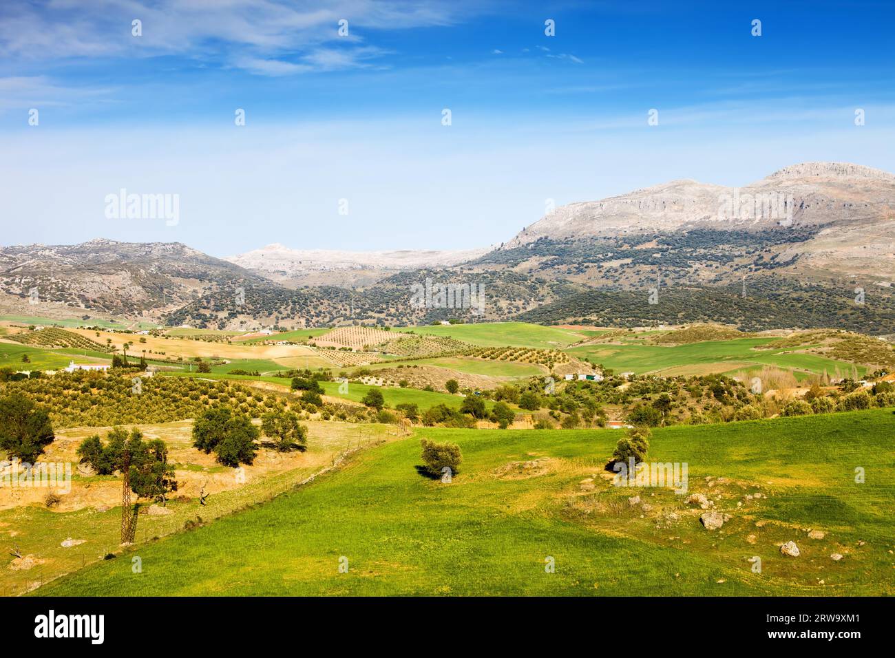 Andalusische Landschaft, Hügel bedeckt mit grünen Wiesen und Feldern, Berge am Horizont in Südspanien, Provinz Malaga Stockfoto