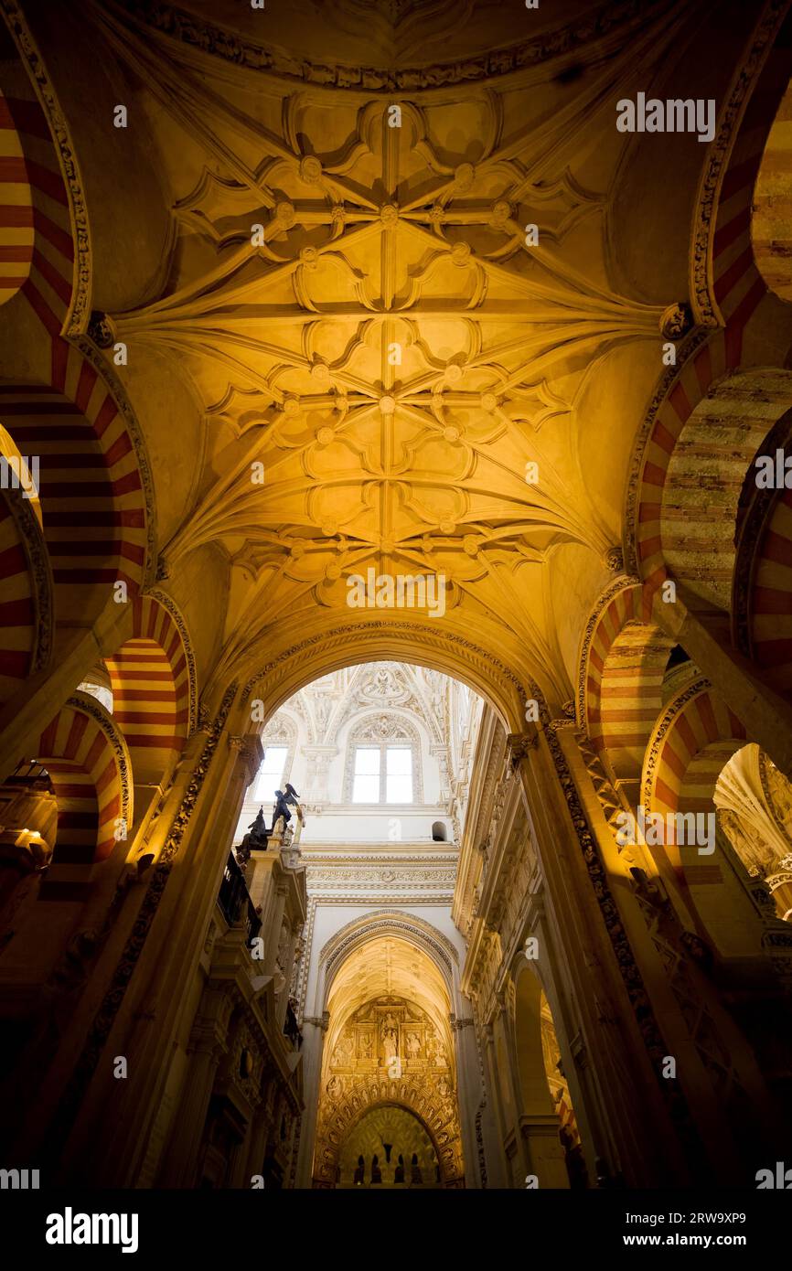 Kathedrale von Mezquita (die große Moschee) mit Rippengewölbe und historischer Innenarchitektur in Cordoba, Spanien, Andalusien Stockfoto Kathedrale von Mezquita (die große Moschee) mit Rippengewölbe und historischer Innenarchitektur in Cordoba, Spanien, Andalusien Stockfoto