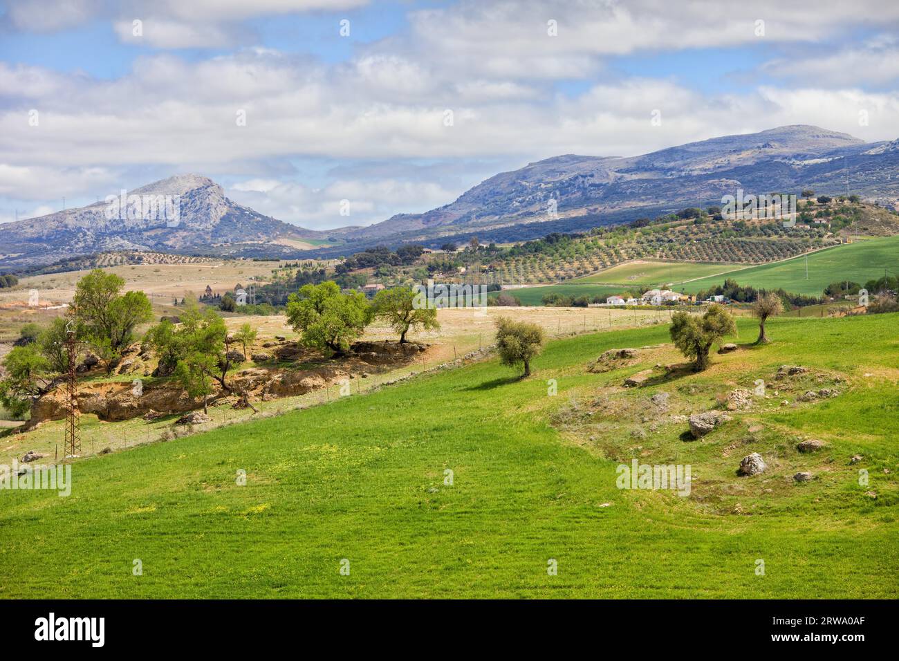 Andalusische Landschaft in Spanien, Bäume und grüne Wiese auf einem Hügel, Berge am Horizont Stockfoto