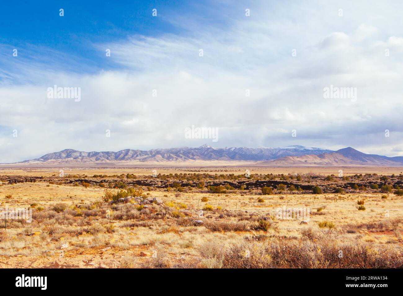 Karge Wüstenlandschaft in New Mexico, USA Stockfoto