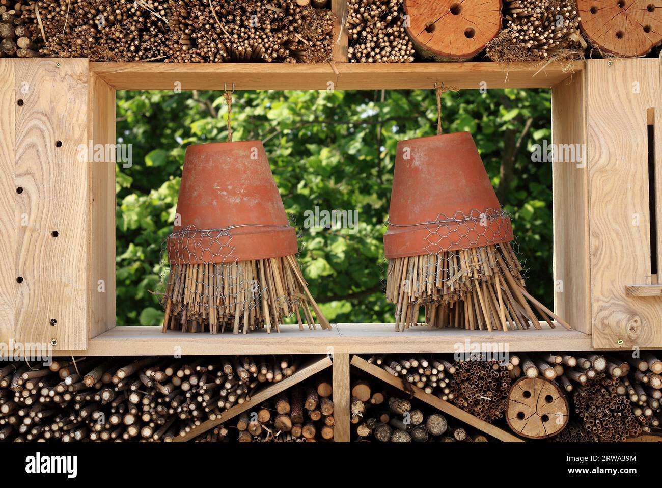 Ein Unterschlupf für Insekten, Holz, umgedrehte Blumentöpfe mit Reisig usw. Stockfoto