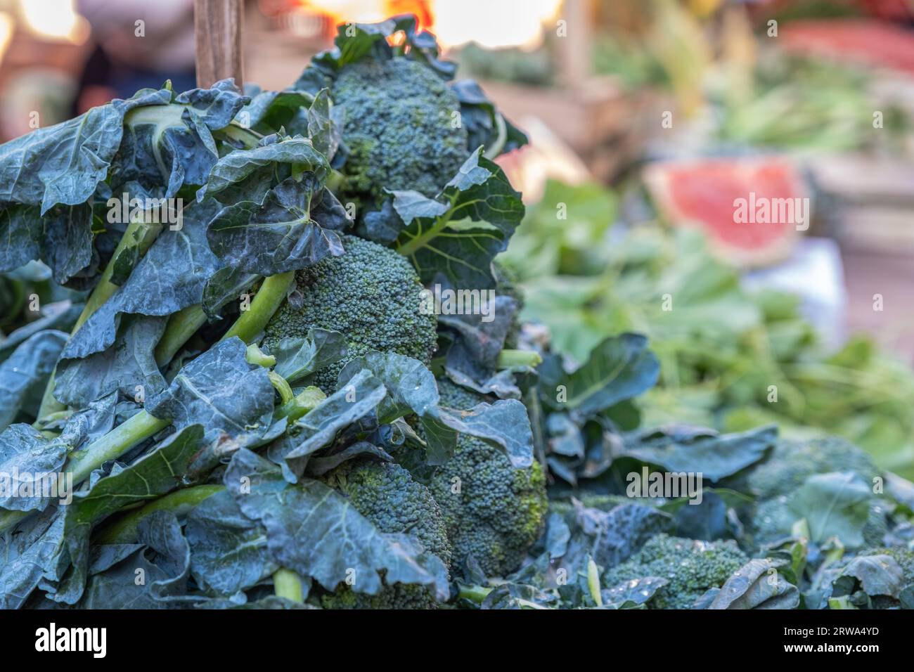 Broccoli Rabe auf einem Street Food Markt in Palermo Sizilien, Gemüsestand mit verschwommenem Hintergrund Stockfoto