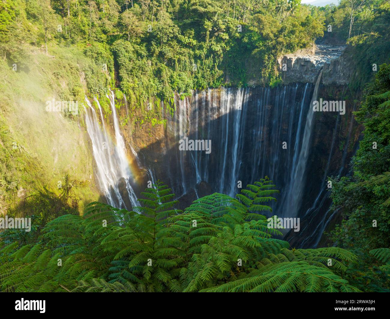 Blick aus der Vogelperspektive auf die Tumpak Sewu Wasserfälle, auch bekannt als Coban Sewu. Die wunderschönen Tumpak Sewu Wasserfälle sind eine Touristenattraktion in Ost-Java, Indonesien.A Stockfoto