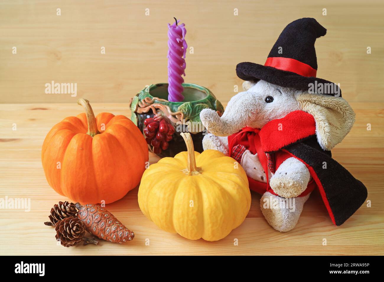 Entzückende Elefantenpuppe im Zauberkostüm mit Kürbissen und saisonaler Dekoration Stockfoto