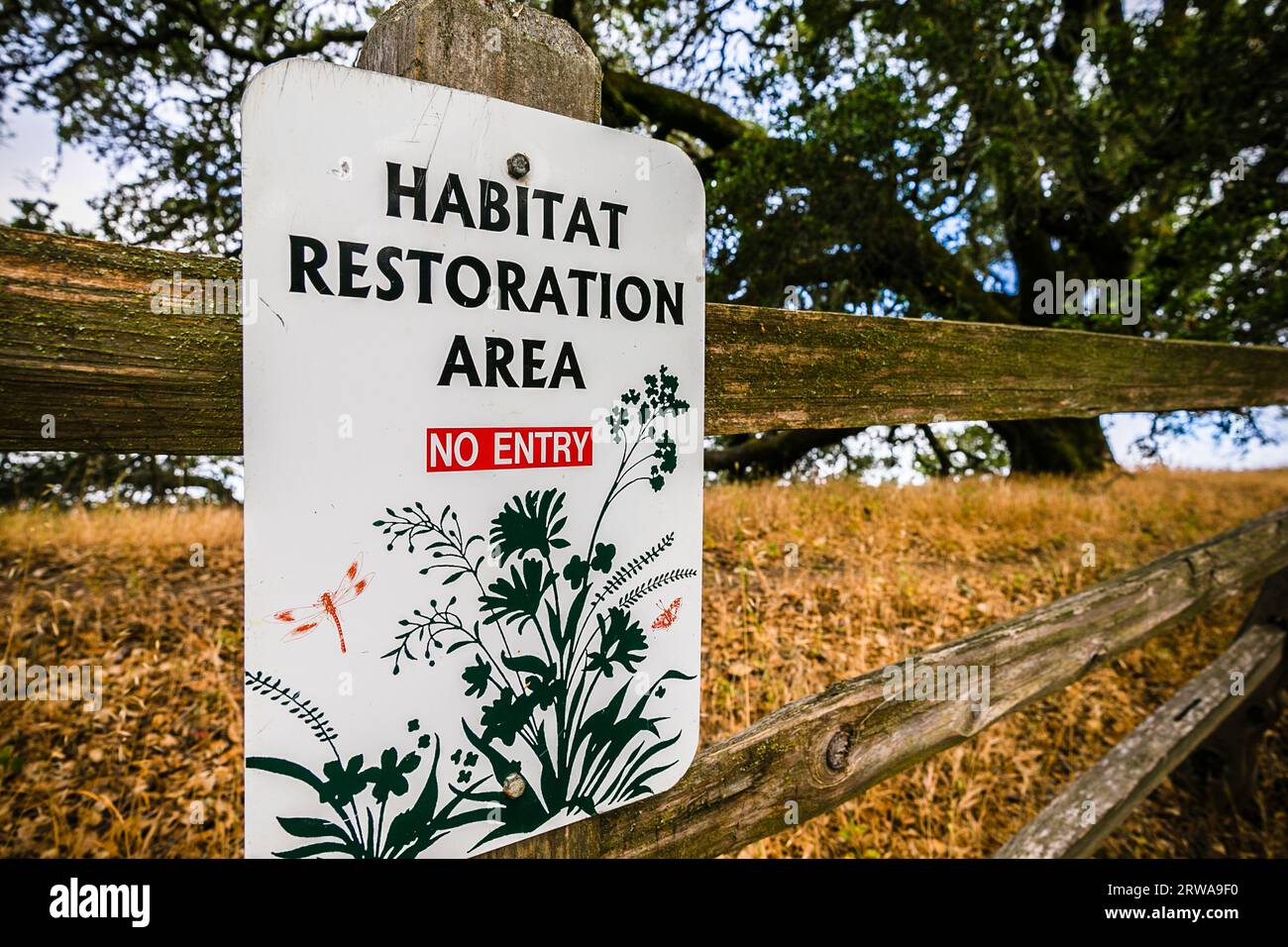 Schild zur Wiederherstellung des Lebensraums im Shiloh Ranch Regional Park Stockfoto