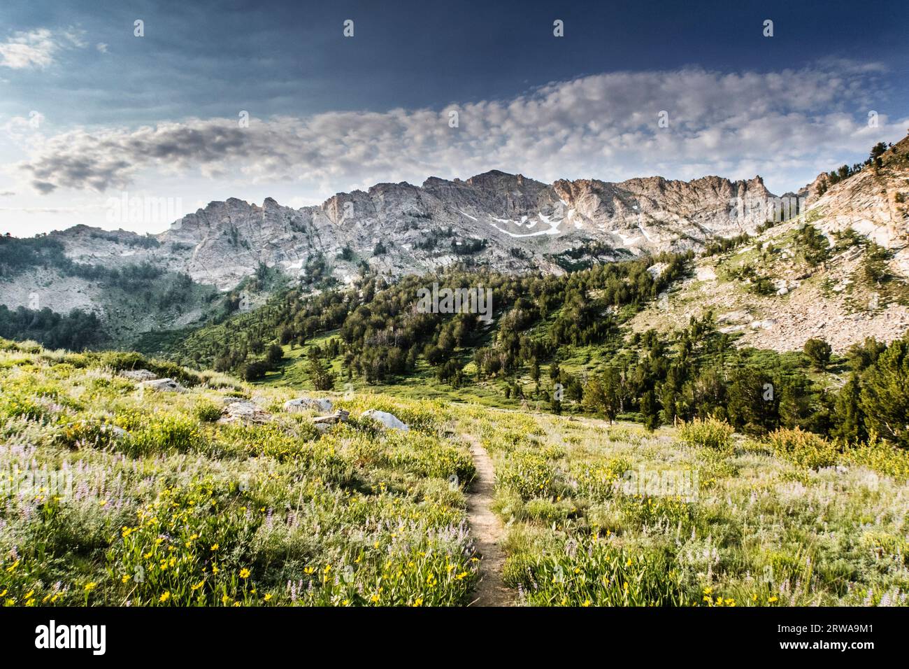 Landschaft mit Ruby Mountains und Wiesen, Ruby Crest National Recreation Trail, Elko, Nevada, USA Stockfoto