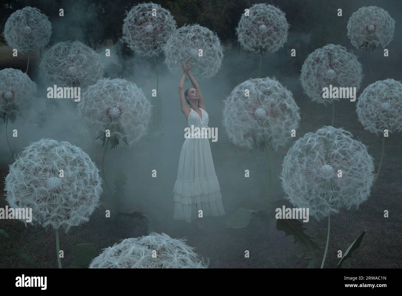 Wunderschöne Ballerina mit riesigen Löwenzahn-Blüten Stockfoto