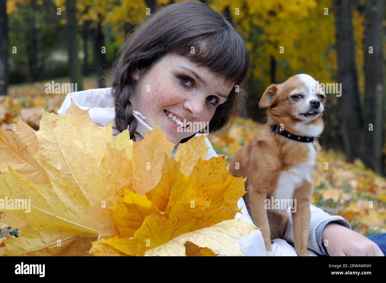 Porträt von freckeligen Jugendlichen Mädchen und Hunden im Herbstpark Stockfoto