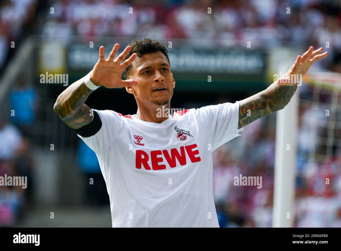 RheinEnergieStadion Köln Deutschland, 16.9,2023, Fußball: Bundesligasaison 2023/24 Spieltag 4, 1.FC Köln (KOE) vs TSG 1899 Hoffenheim (TSG) — DAVIE Selke (KOE) Stockfoto