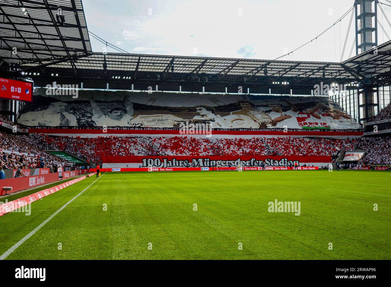 RheinEnergieStadion Köln Deutschland, 16.9,2023, Fußball: Bundesligasaison 2023/24 Spieltag 4, 1.FC Köln (KOE) vs TSG 1899 Hoffenheim (TSG) – Kölner Fans präsentieren Chormusik zum Gedenken an 100 Jahre Müngersdorfer Stadion Stockfoto