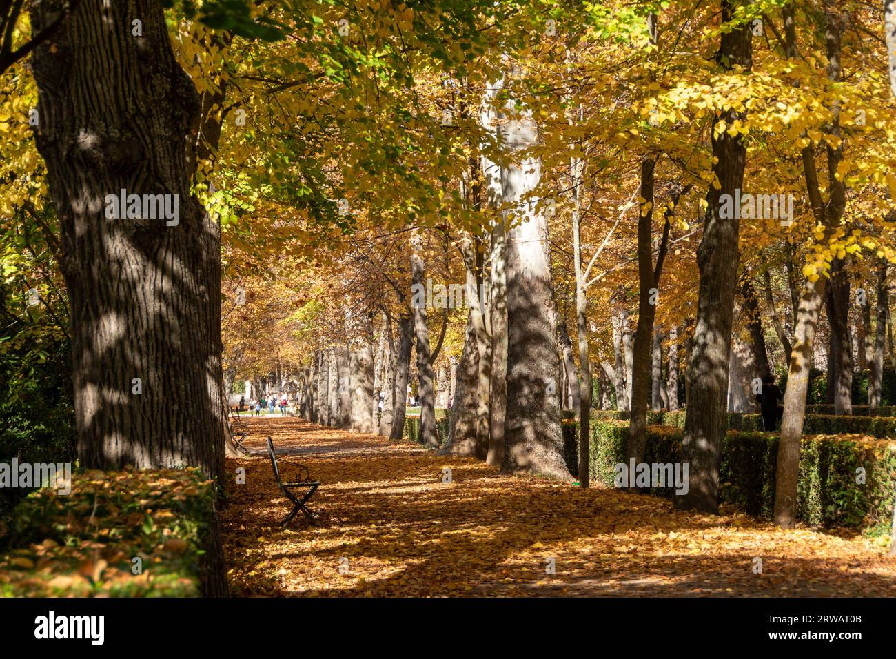 Jardines reale de Aranjuez, Madrid, España Stockfoto