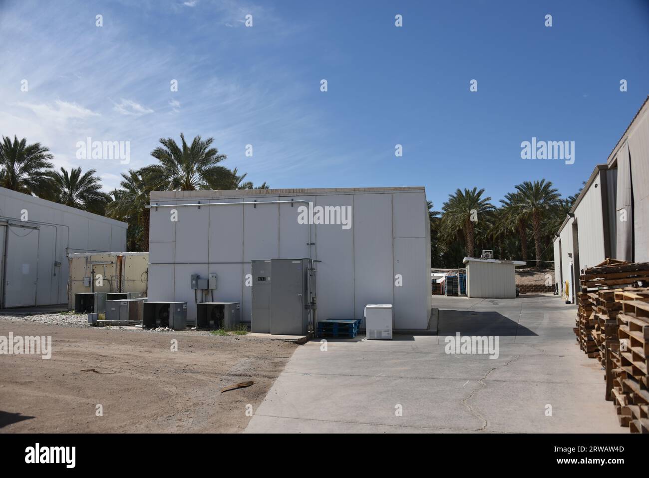 Yuma, AZ USA. 14.03.2023. Martha’s Gardens Medjool Date Farm wurde 1990 von Nels Rogers und seiner Frau Martha gegründet. Stockfoto