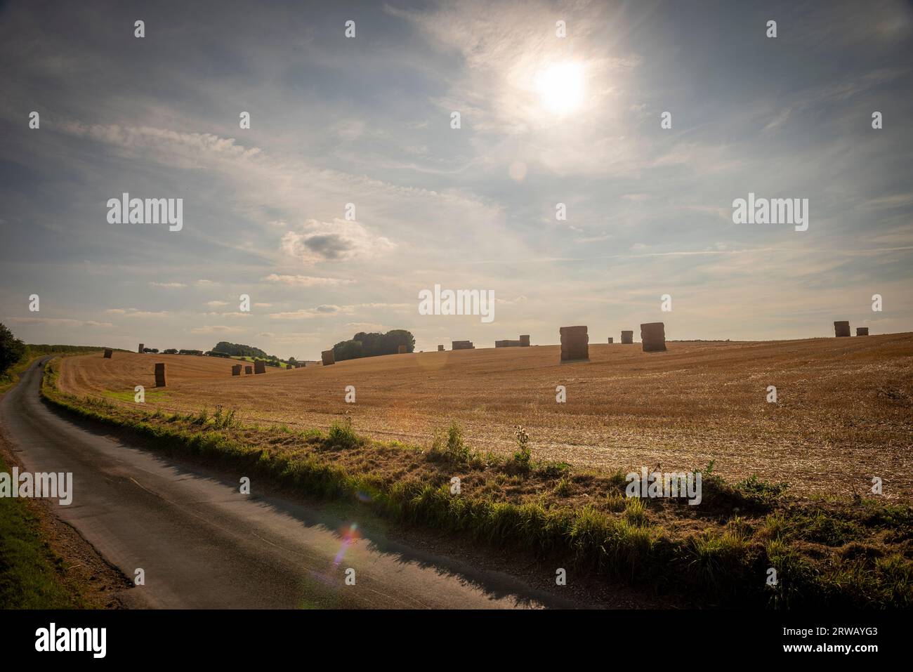 Riesige Heuhaufen auf den Feldern nach der Ernte von Weizen oder Gerste in East Yorkshire, Großbritannien Stockfoto