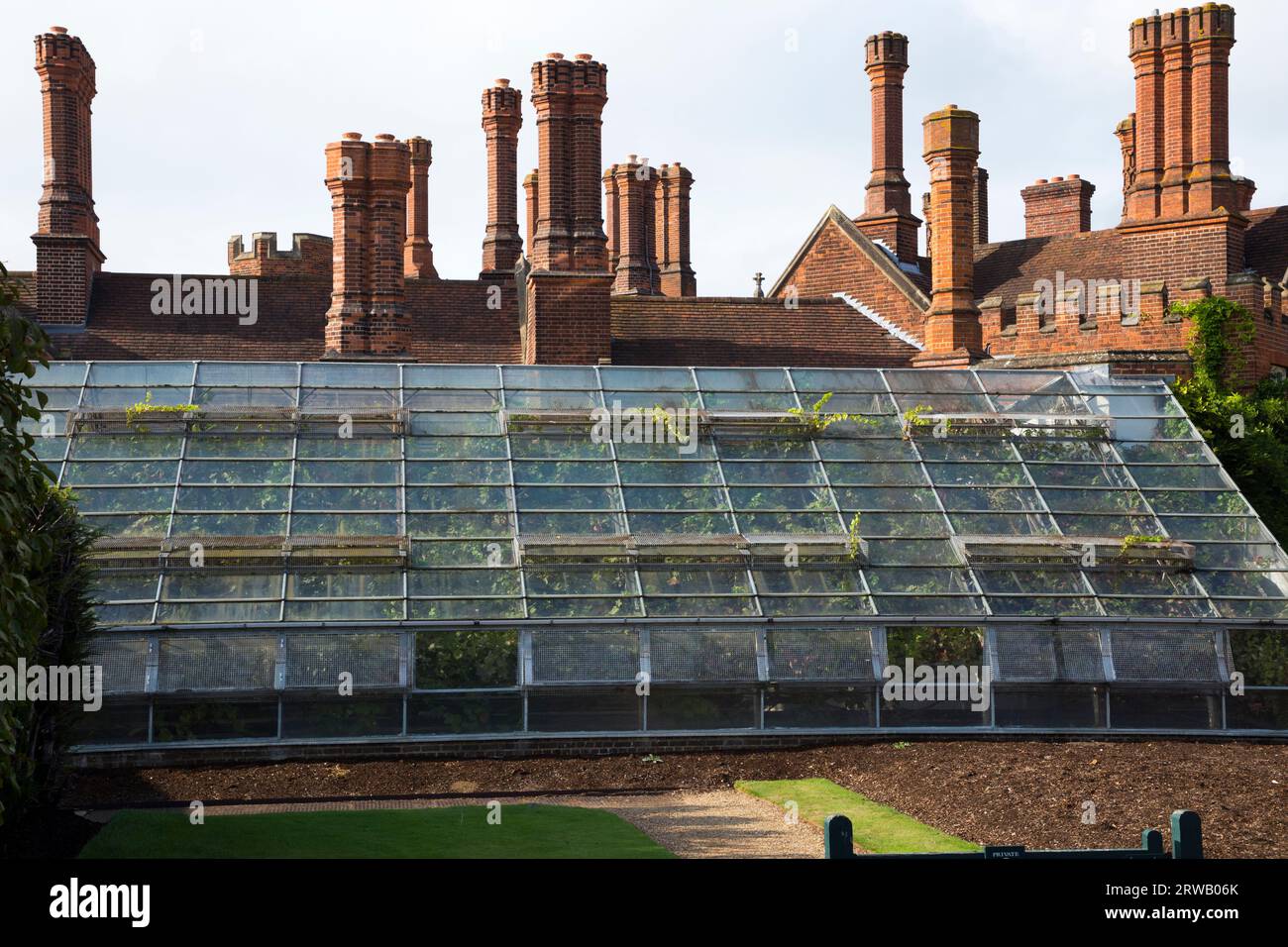 Gewächshaus mit der großen Rebe im Garten des Hampton Court Palace in Richmond upon Thames, London. UK. Es ist die größte Rebe der Welt. Das Wurzelsystem befindet sich außerhalb des Glashauses. (135) Stockfoto