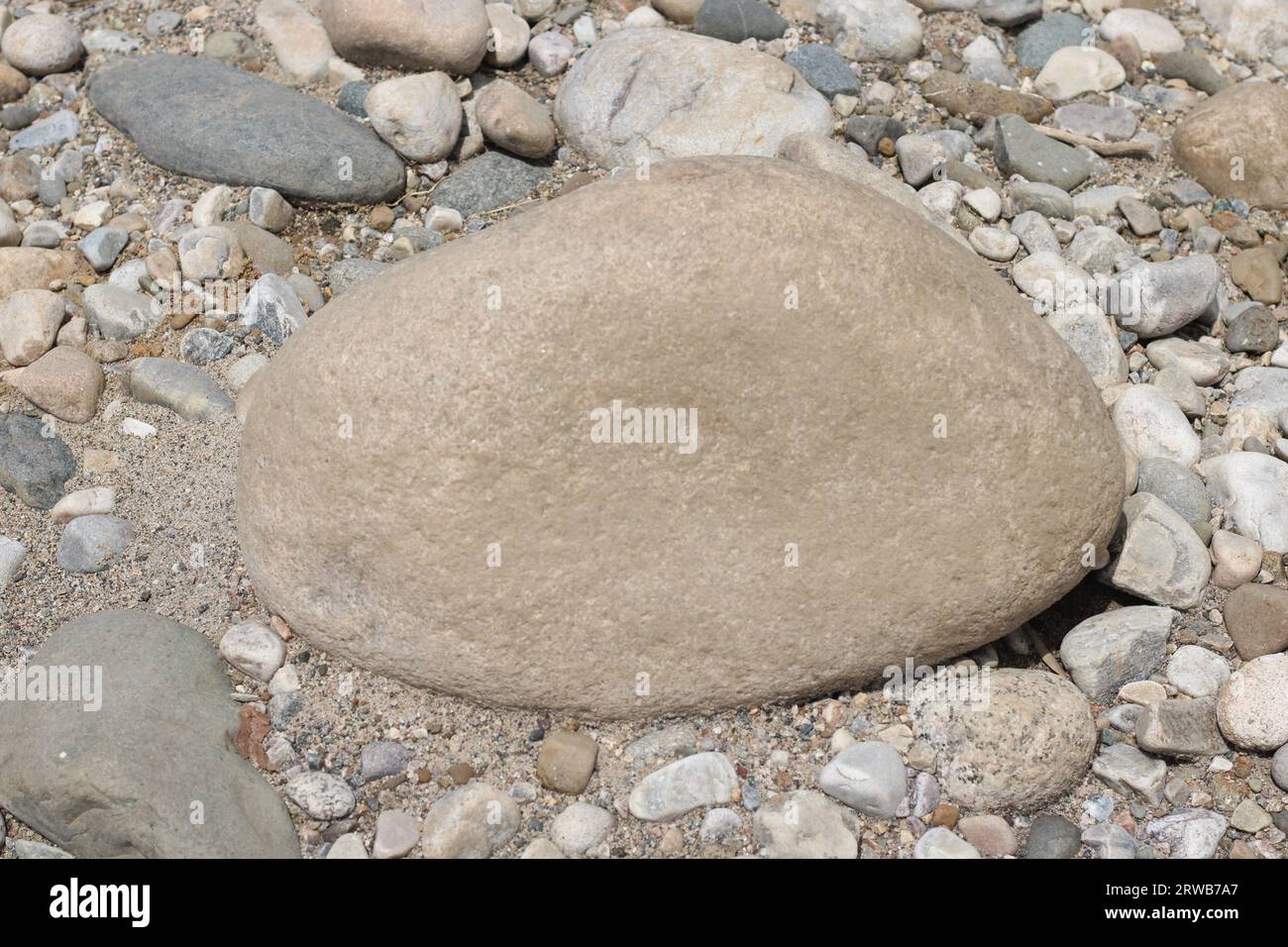 Wunderschöner großer Flusskiesel im Sand Stockfoto