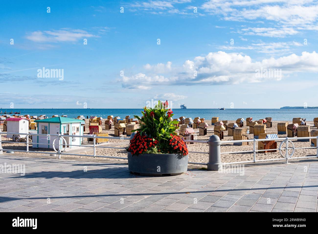 Im Vordergrund befindet sich ein Blumenarrangement. Dann sieht man einen Sandstrand auf dem vielen Strandkörbe stehen. Im hinteren Teil die Ostsee Stockfoto