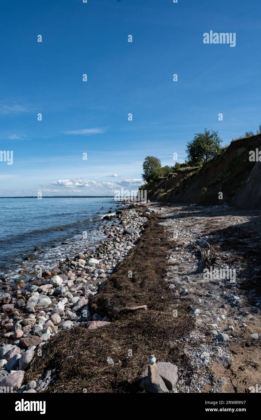 Entlang der Steilküste, am Strand der naturbelassen ist mit viel Gestein, Seetank und Sand Paralleldie Ostsee. Oben auf der Steilküste stehen in der Stockfoto
