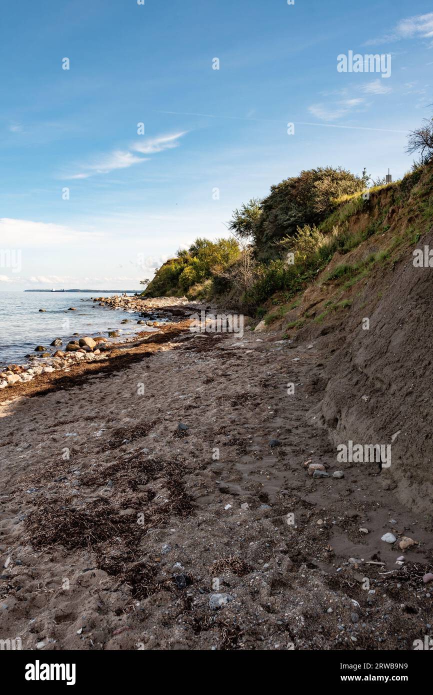 Brodtener Steilküste in schönem warmen Licht, der Strand verläuft an der Steilwand entlang im Wasser der Ostsee liegt Steine und kleinere Felsbrocke Stockfoto