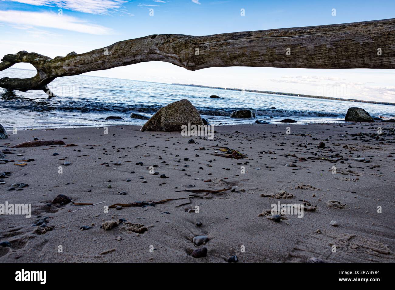 Urlaubsfeeling ,Naturstrand Sandstrand mit Steinen darüber ein trockener Baumstamm am Wasser ein kleiner Felsbrocken dann die Ostsee die am Horizont s Stockfoto