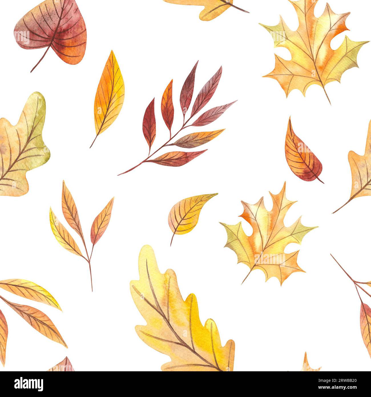 Handgezeichnetes Aquarellmuster mit Herbstblättern Stockfoto
