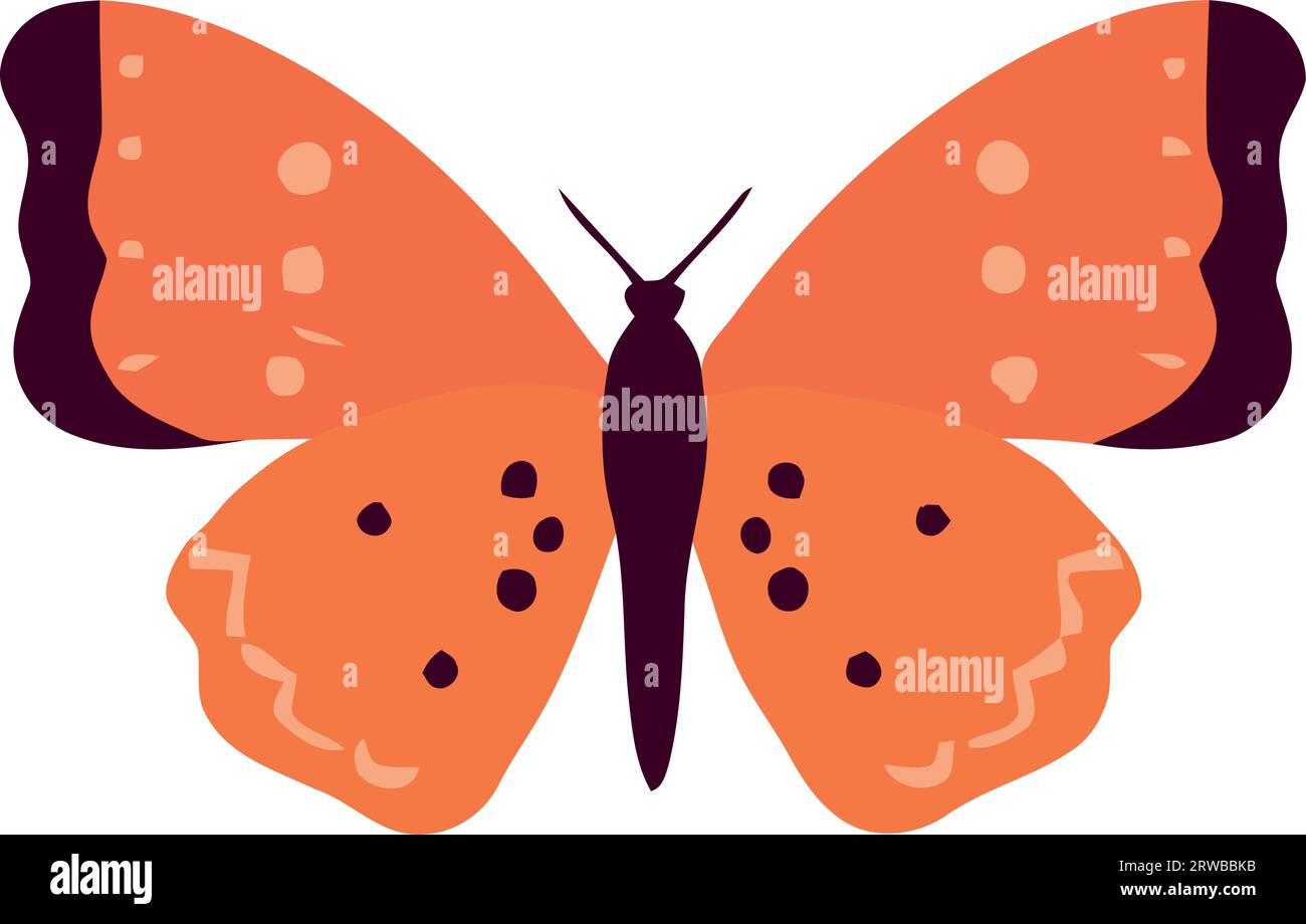 Orangefarbener Schmetterling mit offenen Flügeln Stock Vektor