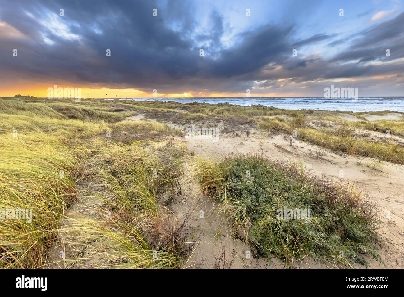 Dünenlandschaft unter bewölktem Herbsthimmel. Dunkle Wolken, die über der untergehenden Sonne wehen. Wijk aan Zee, Nordholland. Niederlande. Meereslandschaft der Natur Stockfoto
