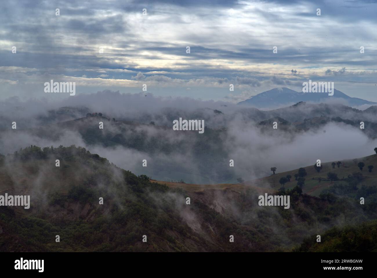 mattina nebbiosa sulle colline del Montefeltro Stockfoto