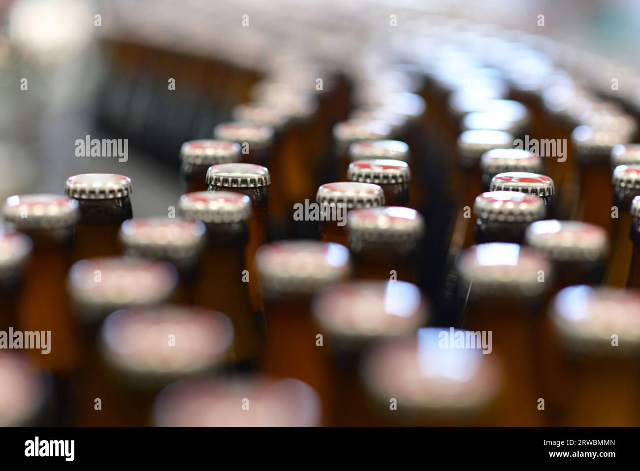 Bier Flaschen auf dem Fließband in einer modernen Brauerei - Anlagen in der Lebensmittelindustrie Stockfoto