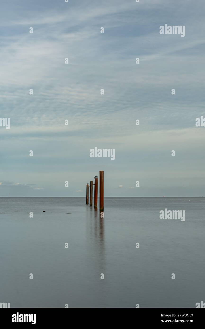 Holzpfähle in der ruhigen Nordsee bei Cuxhaven Stockfoto