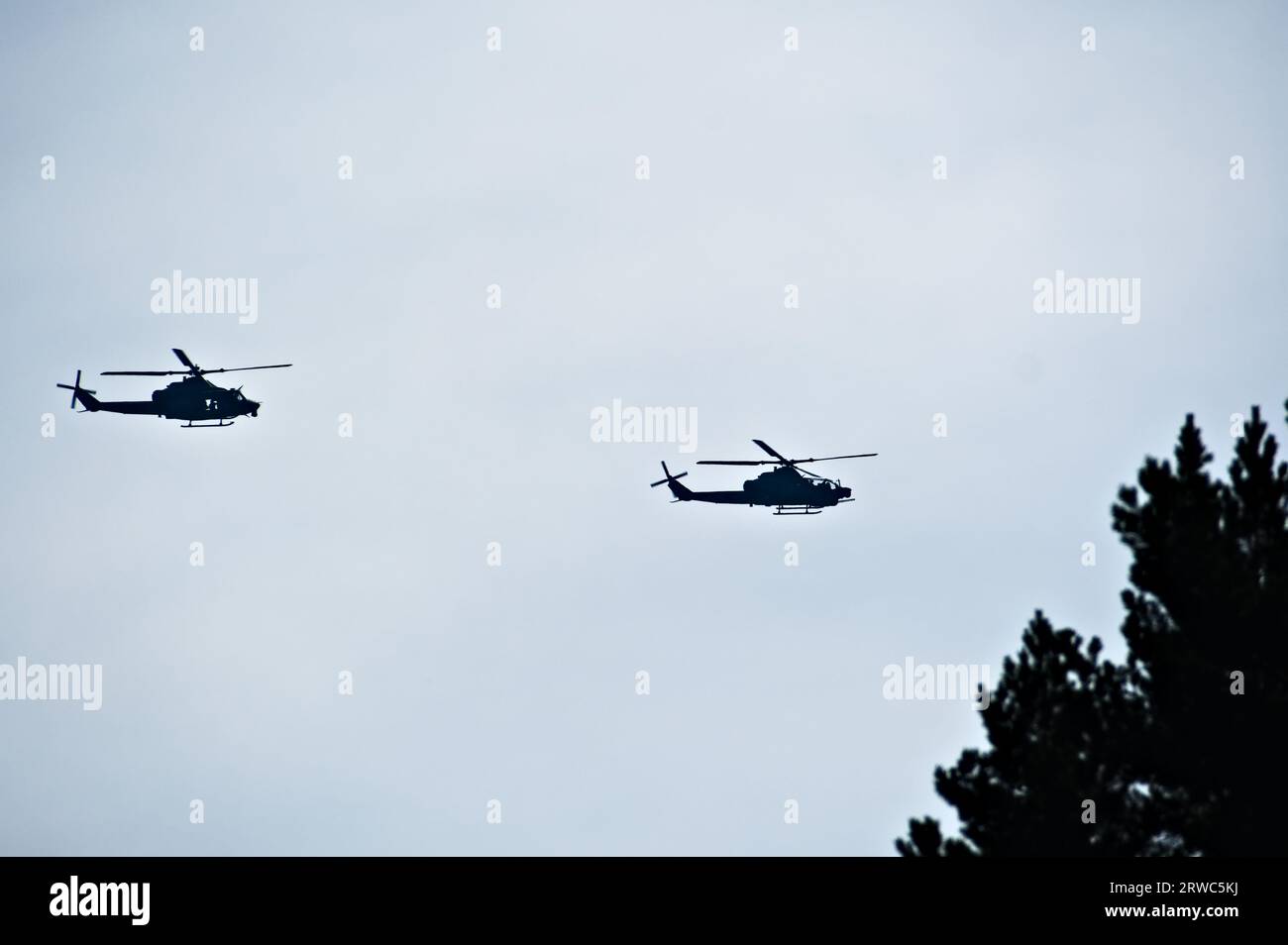 Tschechische Militärhubschrauber fliegen über den Wald. Zwei verschiedene Flugzeugtypen verlassen die Airshow. Stockfoto