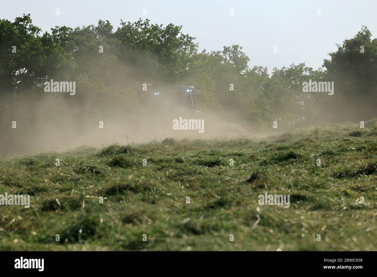 Der Traktor wirbelt während der Heuernte viel Staub auf Stockfoto