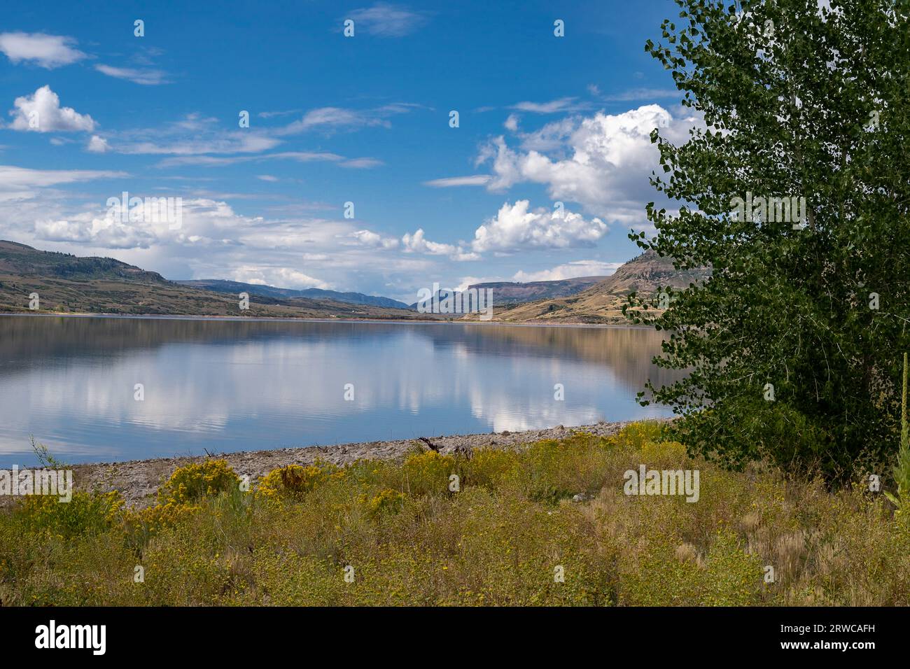 Blick vom Ufer des Blue Mesa Reservoir Stockfoto