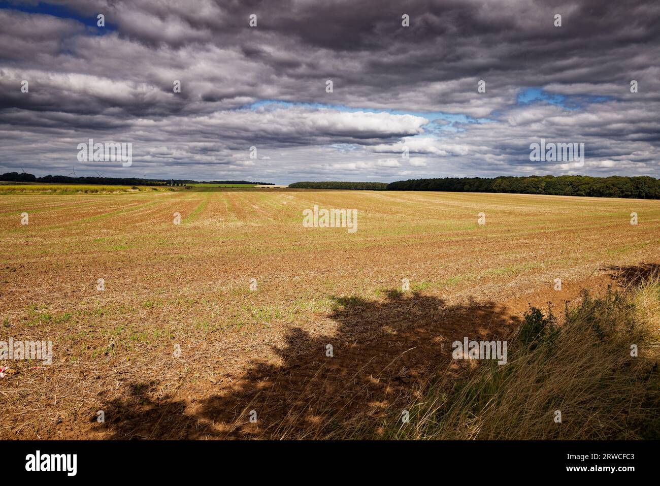 Ackerfelder nach der Ernte Stockfoto