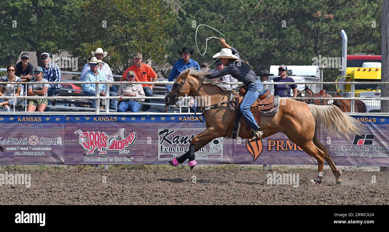 EMPORIA, KANSAS – 17. SEPTEMBER 2023 während des Breakaway-Roping-Events wird Shylar Whiting of Paola auf ihrem Pferd gesehen, während sie ihr Lasso wirbelt, während sie das Kalb in der Arena hinunterjagt Stockfoto