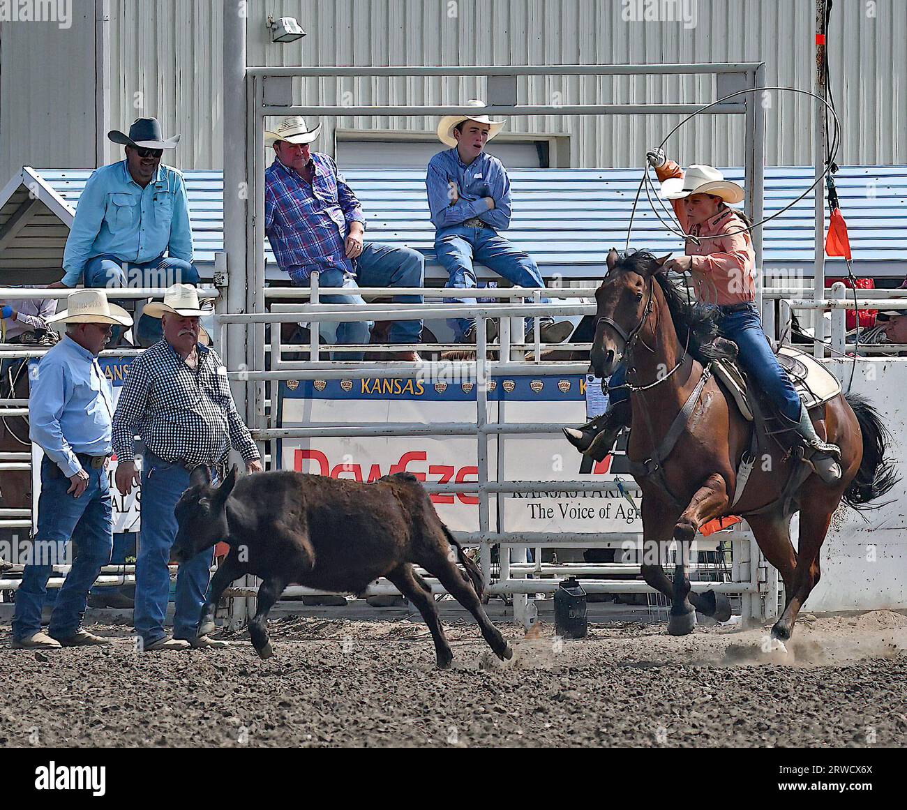 EMPORIA, KANSAS – 17. SEPTEMBER 2023 während des Breakaway-Roping-Events wird Haddie Matzke aus Wheaton auf ihrem Pferd gesehen, während sie ihr Lasso wirbelt, während sie das Kalb in der Arena jagt Stockfoto