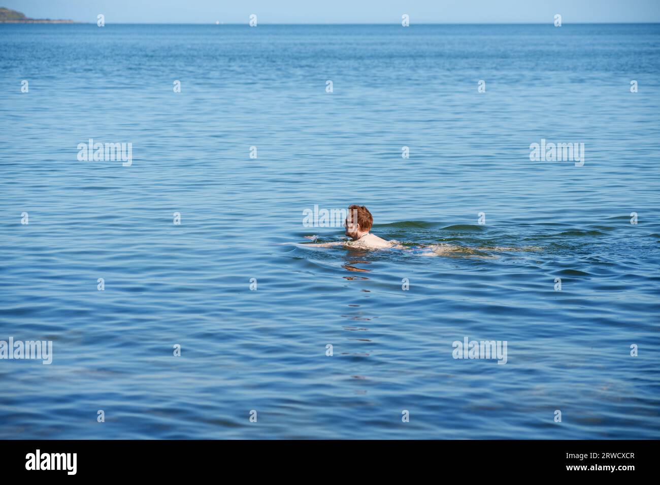 Ein wilder Schwimmer im Meer vor der Küste von Solway bei Kirkudbright, Dumfries und Galloway, Schottland Stockfoto