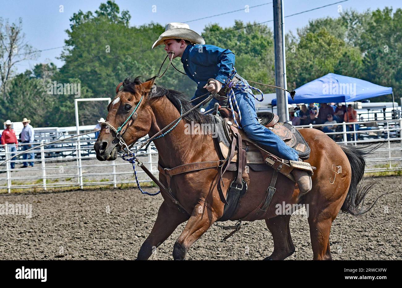 EMPORIA, KANSAS – 17. SEPTEMBER 2023 Stone Newell aus Oskaloosa reitet mit seinem Pferd und Lassoe das Kalb auf den Boden und bindet dann die Beine zusammen Stockfoto