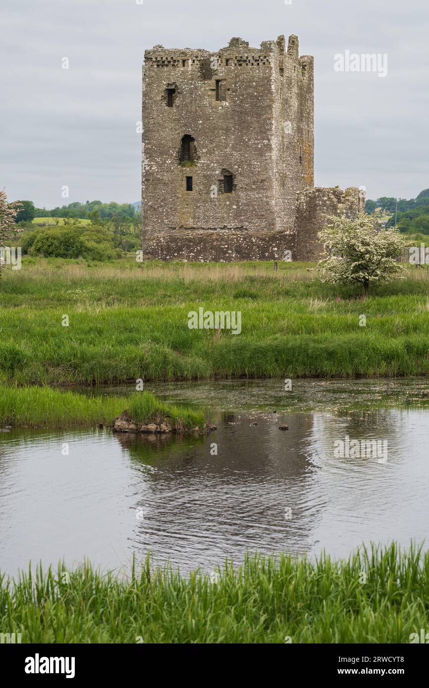 Ruinen der Burg Threave am Ufer des Flusses Dee. Dumfries und Galloway Stockfoto
