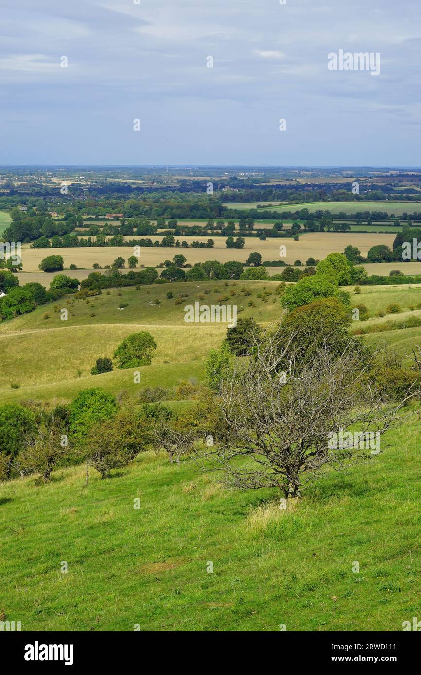 Pegsdon Hills Nature Reserve Stockfoto