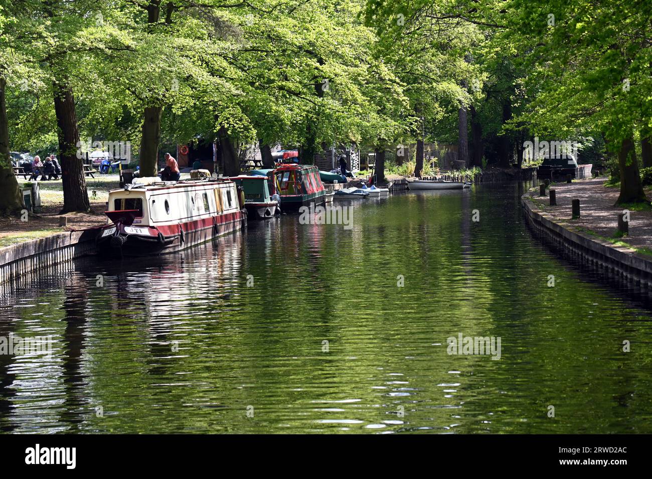 Boote auf dem wunderschönen Basingstoke Kanal in Mytchett in Surrey Stockfoto